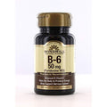 Windmill Vitamin B6 50 Mg Tablets 100ct