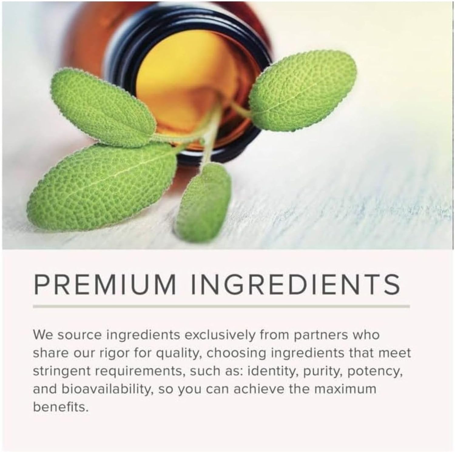 NusaPure Olive Leaf 20% Oleuropein 50:1 Extract, 500 mg 200 Veg Caps Suitable for Vegetarians and Vegans, Non-GMO