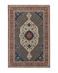 Persian Rug 7x10, Bakhtiari Saman Rug, Unique Design and Colors, Ivory Red Blue, Large Tribal Rug