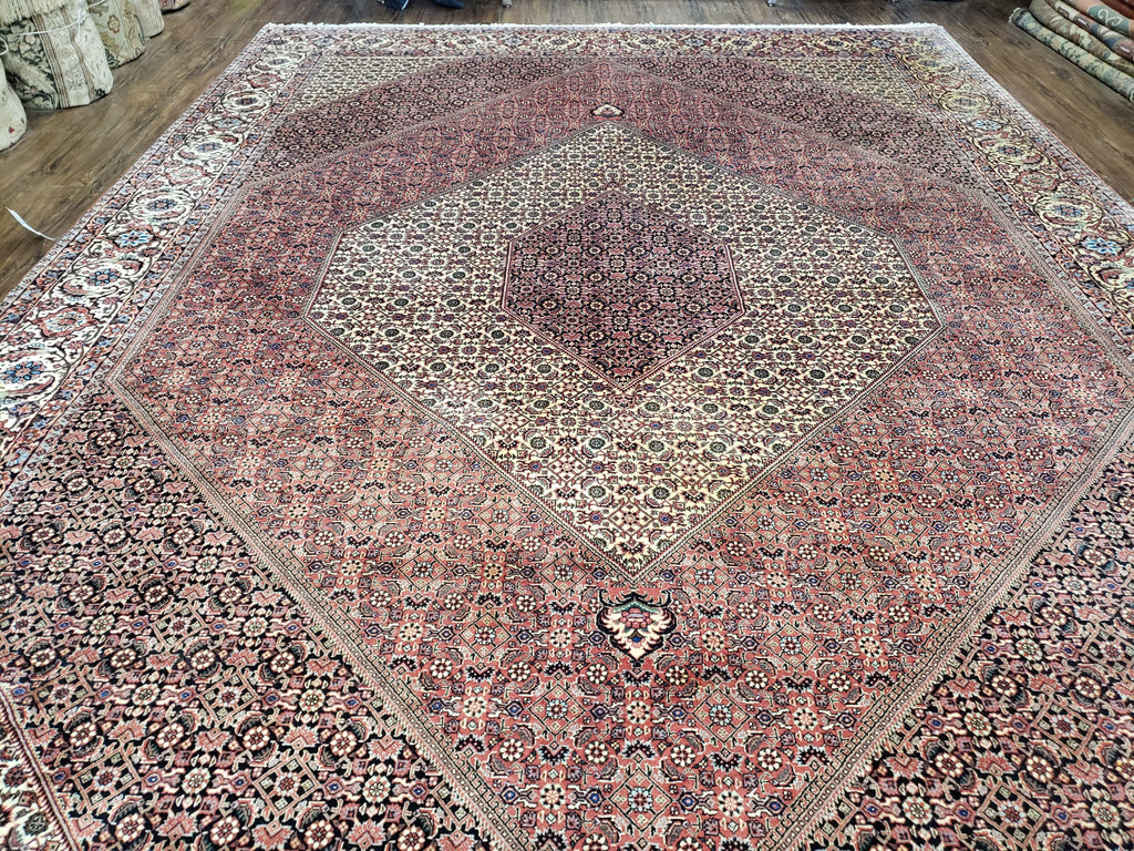 Stunning Persian Bijar Rug 8x11 - Herati Mahi Pattern