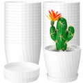 Layhit 30 Pcs 4.5 Inch White Plastic Plant Pots with Drainage Holes & Saucers