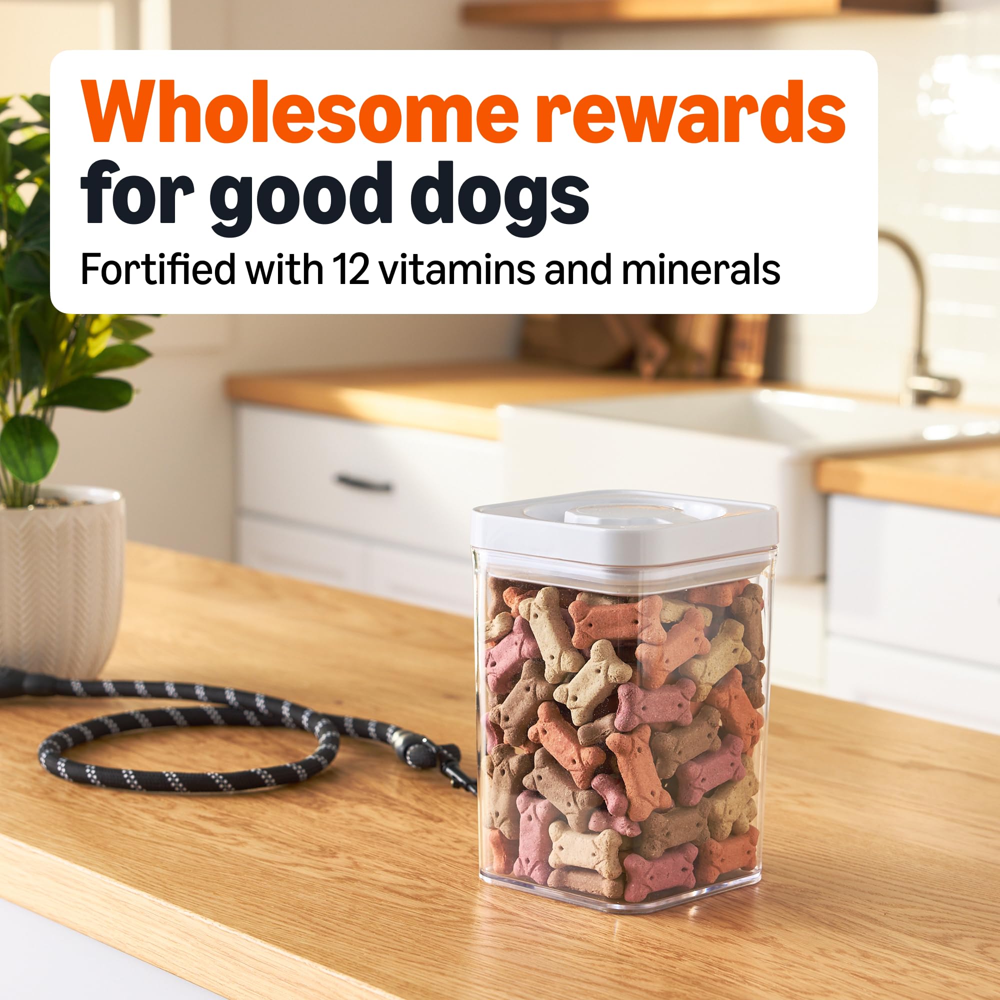 Amazon Basics Crunchy Dog Biscuits Multi Flavor 5 lb Box