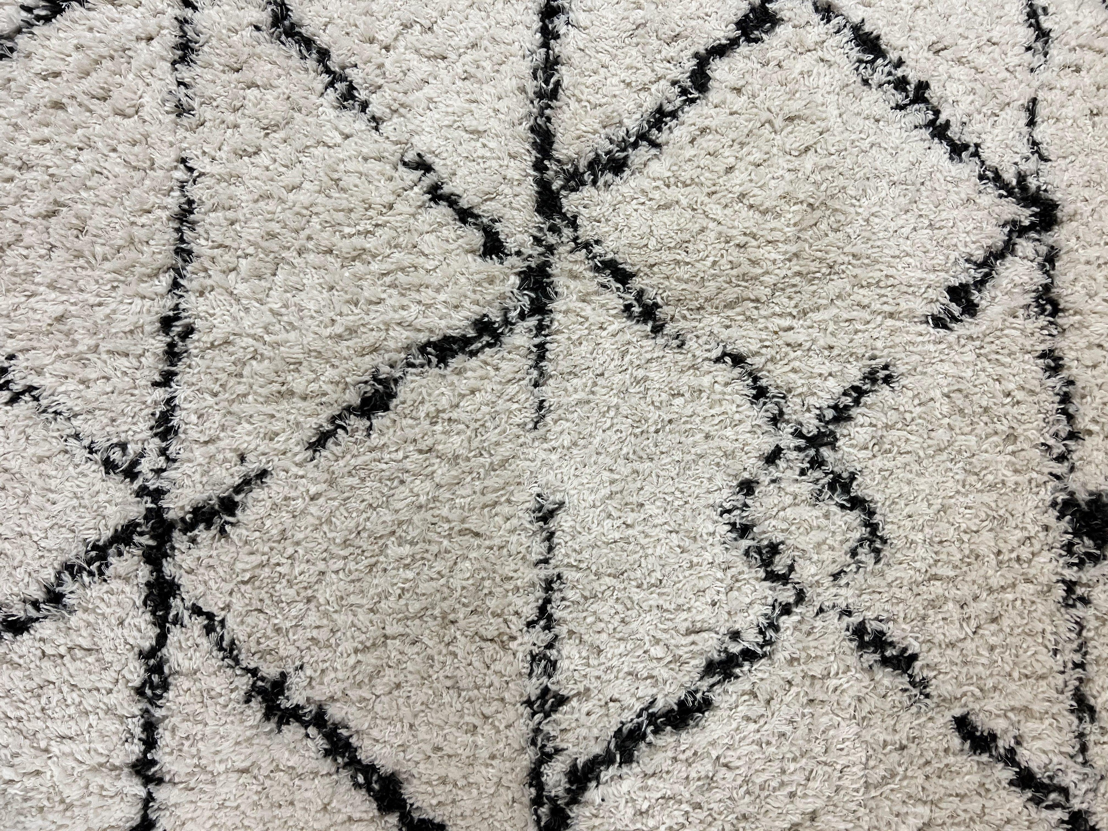 Modern Shag Rug 5x7, Ivory and Black Area Rug 5 x 7 ft