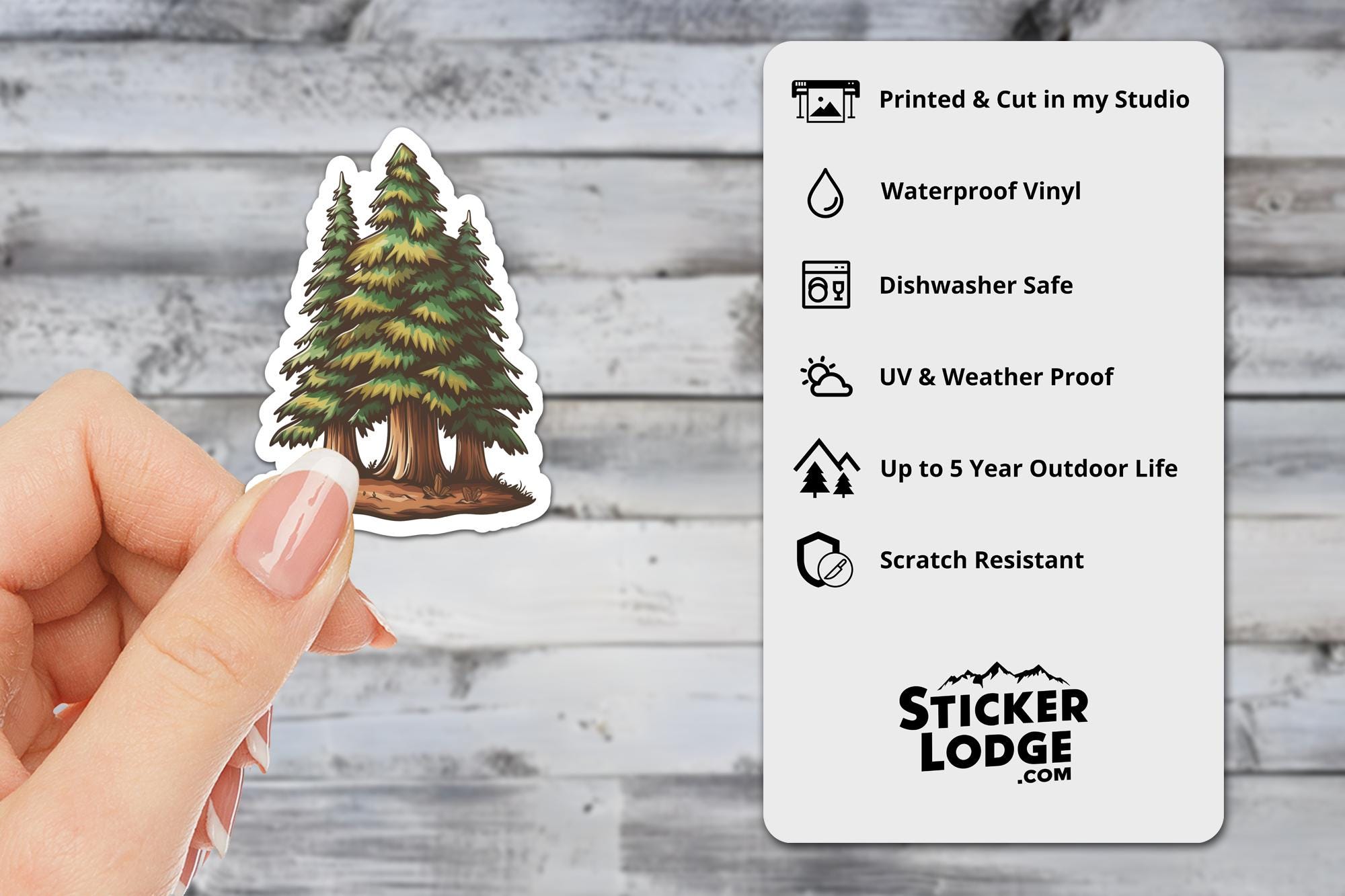 Redwood Evergreen Forest Vinyl Sticker