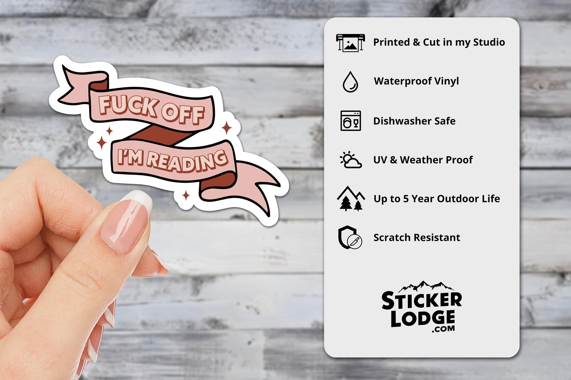 Fuck Off I’m Reading Vinyl Sticker