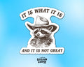 It Is What It Is And It Is Not Great Vinyl Sticker