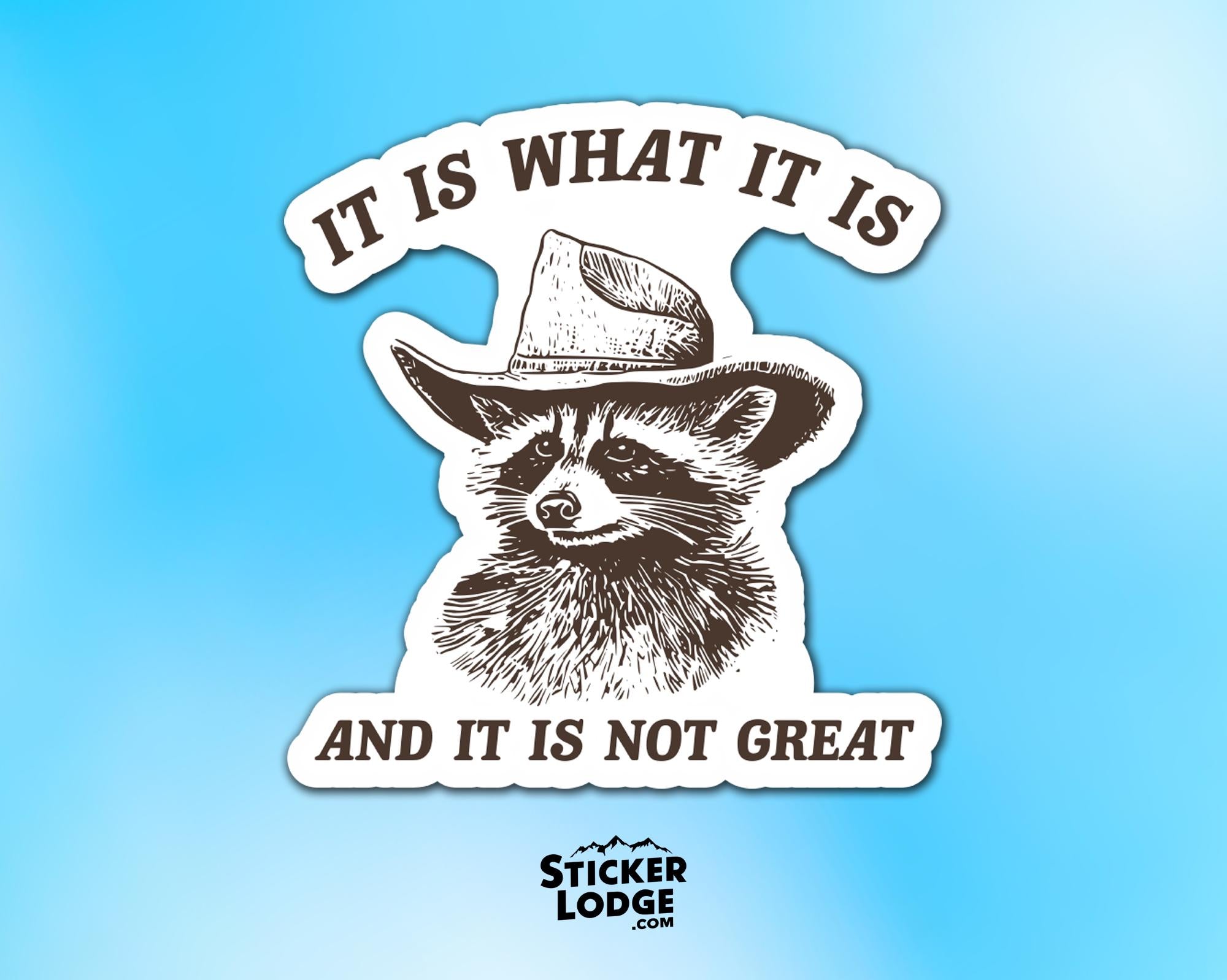 It Is What It Is And It Is Not Great Vinyl Sticker