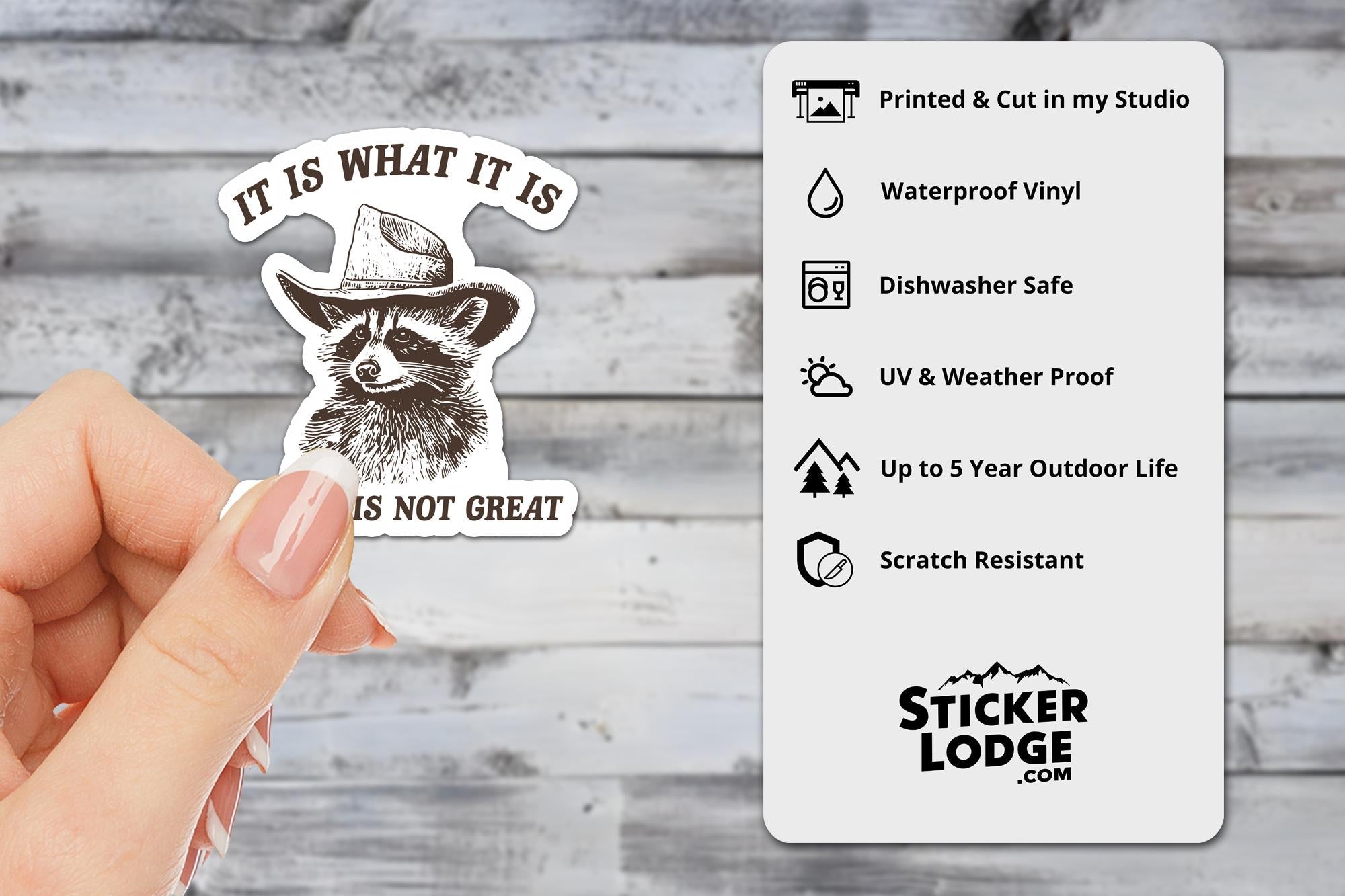 It Is What It Is And It Is Not Great Vinyl Sticker