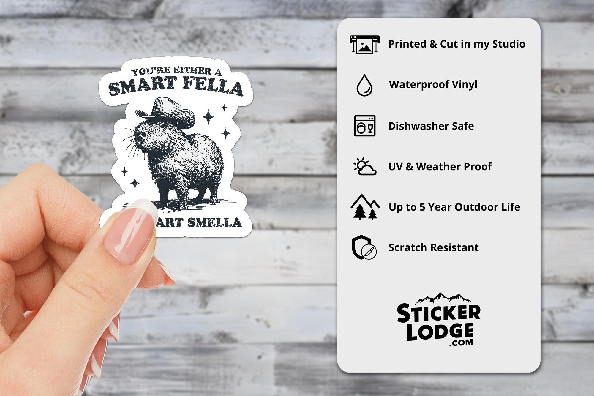 You're Either a Smart Fella or Fart Smella Capybara Vinyl Sticker