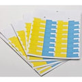 Dispill Standard Labels 50