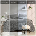 dennylife Queen Comforter Set Dandelion Velvet Soft Microfiber 3 PCS Light Grey